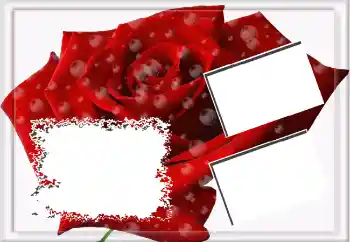 범주에서의 사진 효과 여성 프레임 № 3592