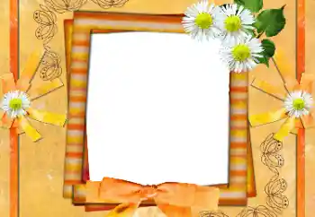 범주에서의 사진 효과 여성 프레임 № 36135