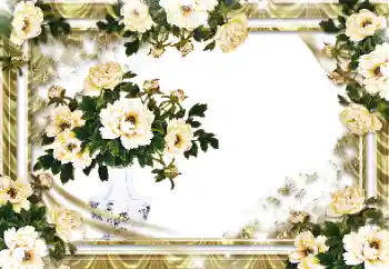 범주에서의 사진 효과 여성 프레임 № 36329