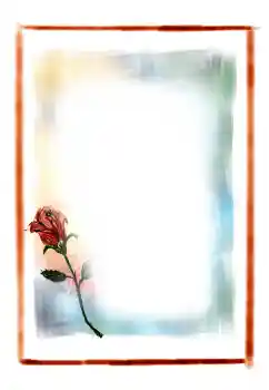 범주에서의 사진 효과 여성 프레임 № 3647