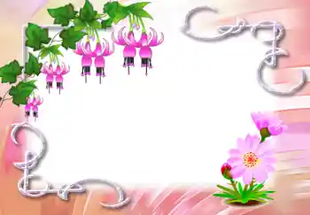 범주에서의 사진 효과 여성 프레임 № 3650