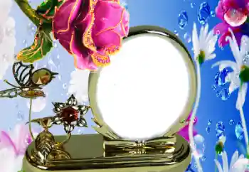 범주에서의 사진 효과 여성 프레임 № 38326