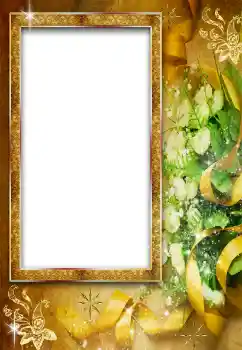 범주에서의 사진 효과 여성 프레임 № 38587