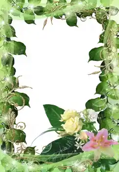 범주에서의 사진 효과 여성 프레임 № 38597