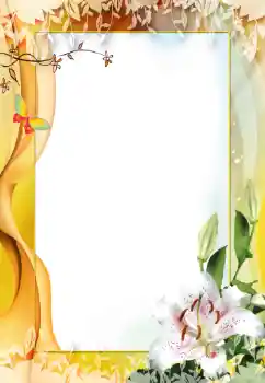 범주에서의 사진 효과 여성 프레임 № 38834