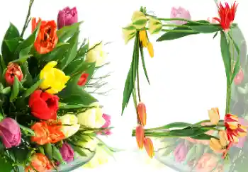 범주에서의 사진 효과 여성 프레임 № 40387