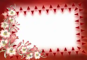 범주에서의 사진 효과 여성 프레임 № 40390