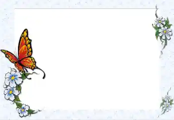 범주에서의 사진 효과 여성 프레임 № 42548