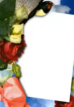 범주에서의 사진 효과 여성 프레임 № 42754