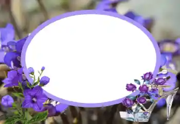 범주에서의 사진 효과 여성 프레임 № 43545