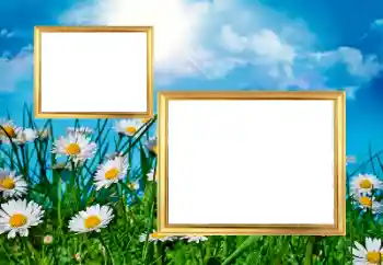 범주에서의 사진 효과 여성 프레임 № 43572