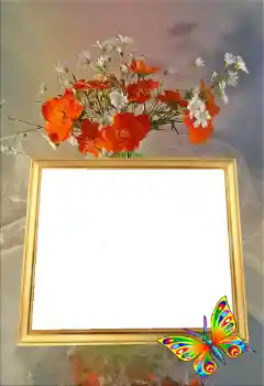 범주에서의 사진 효과 여성 프레임 № 43591