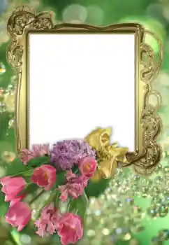 범주에서의 사진 효과 여성 프레임 № 43605