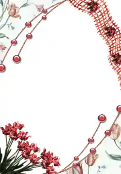 범주에서의 사진 효과 여성 프레임 № 43638