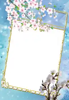 범주에서의 사진 효과 여성 프레임 № 43639