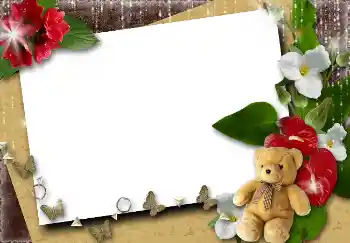 범주에서의 사진 효과 여성 프레임 № 4561