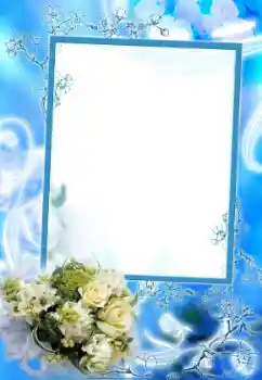 범주에서의 사진 효과 여성 프레임 № 45754