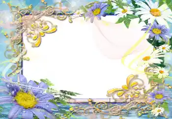 범주에서의 사진 효과 여성 프레임 № 45792