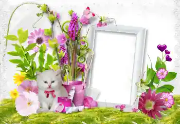 범주에서의 사진 효과 여성 프레임 № 45889