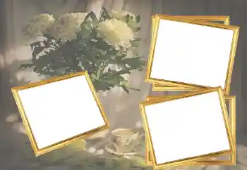 범주에서의 사진 효과 여성 프레임 № 45921