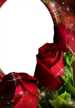 범주에서의 사진 효과 여성 프레임 № 4603