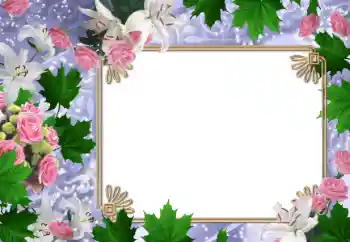 범주에서의 사진 효과 여성 프레임 № 47030