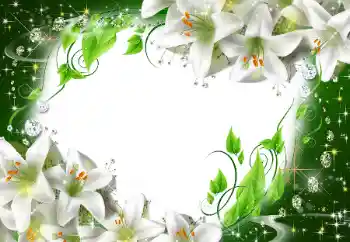 범주에서의 사진 효과 여성 프레임 № 47175