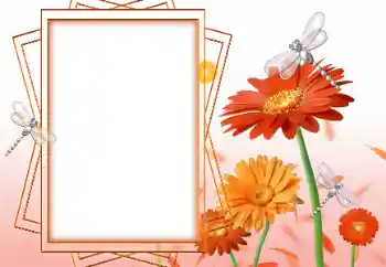 범주에서의 사진 효과 여성 프레임 № 47199