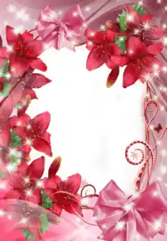 범주에서의 사진 효과 여성 프레임 № 47321