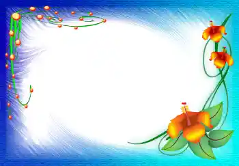 범주에서의 사진 효과 여성 프레임 № 4796