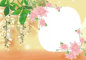 범주에서의 사진 효과 여성 프레임 № 4893