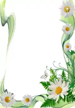 범주에서의 사진 효과 여성 프레임 № 49370