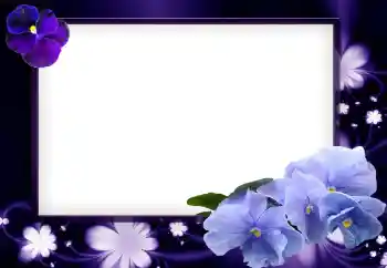 범주에서의 사진 효과 여성 프레임 № 49423