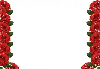 범주에서의 사진 효과 여성 프레임 № 49424