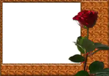 범주에서의 사진 효과 여성 프레임 № 49427