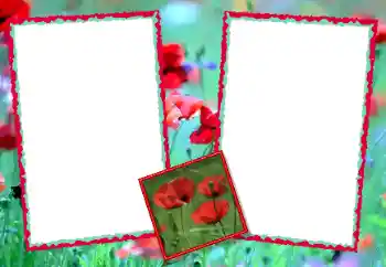 범주에서의 사진 효과 여성 프레임 № 49428