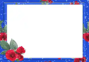 범주에서의 사진 효과 여성 프레임 № 49442