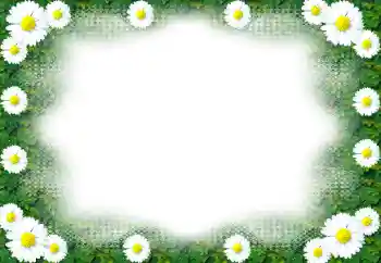 범주에서의 사진 효과 여성 프레임 № 49443