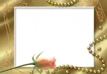 범주에서의 사진 효과 여성 프레임 № 49499