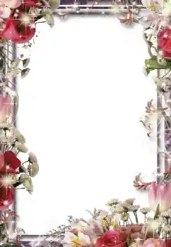 범주에서의 사진 효과 여성 프레임 № 49550