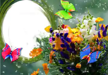 범주에서의 사진 효과 여성 프레임 № 50643