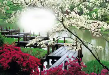 범주에서의 사진 효과 여성 프레임 № 50653