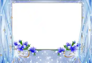 범주에서의 사진 효과 여성 프레임 № 50664