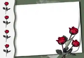 범주에서의 사진 효과 여성 프레임 № 50854