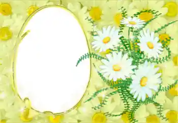 범주에서의 사진 효과 여성 프레임 № 50878