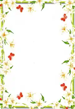 범주에서의 사진 효과 여성 프레임 № 50916