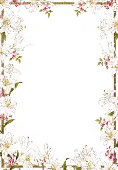 범주에서의 사진 효과 여성 프레임 № 50918