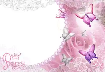 프레임에 비문: Princess