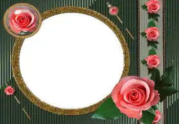 범주에서의 사진 효과 여성 프레임 № 51968