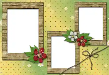 범주에서의 사진 효과 여성 프레임 № 51970